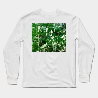 Cacti Long Sleeve T-Shirt